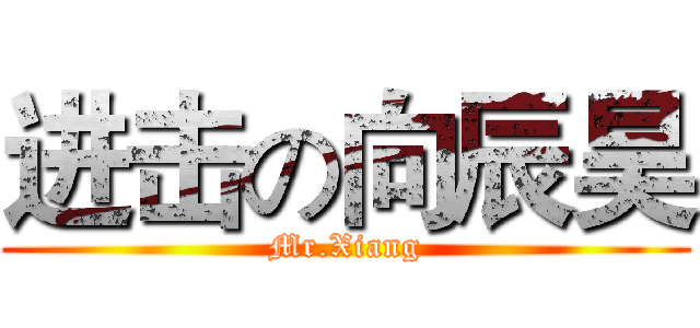 进击の向辰昊 (Mr.Xiang)