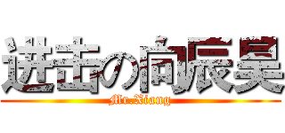 进击の向辰昊 (Mr.Xiang)