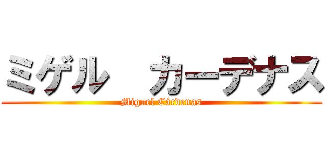 ミゲル  カーデナス (Miguel Cárdenas)