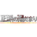 正派の陽だまり (justice on Hidamari)