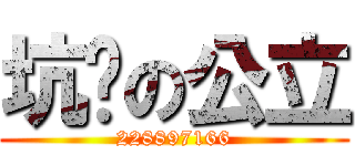 坑爹の公立 (228897166)