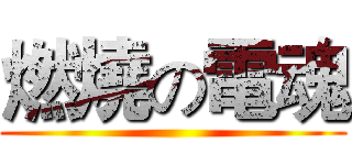 燃燒の電魂 ()