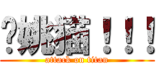 扯姚猫！！！ (attack on titan)