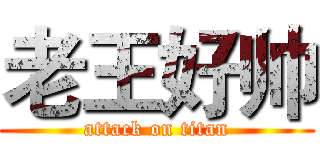 老王好帅 (attack on titan)