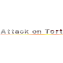 Ａｔｔａｃｋ ｏｎ Ｔｏｒｔｏｒｅｌｌａ ()