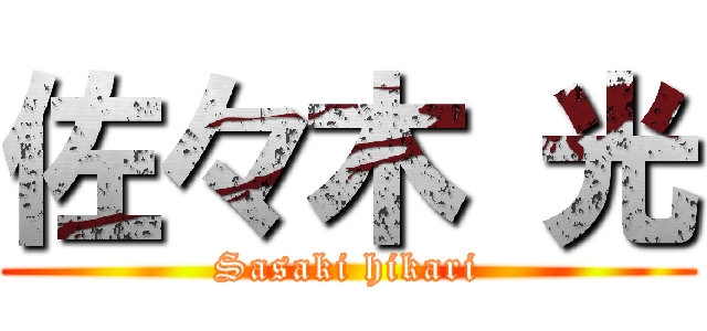 佐々木 光 (Sasaki hikari)