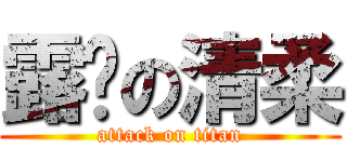 露奶の清柔 (attack on titan)