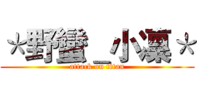 ＊野蠻＿小凜＊ (attack on titan)