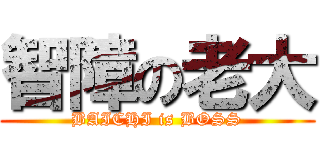 智障の老大 (BAICHI is BOSS)