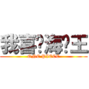 我喜欢海贼王 (ONE PIECE)