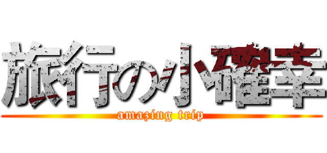 旅行の小確幸 (amazing trip)