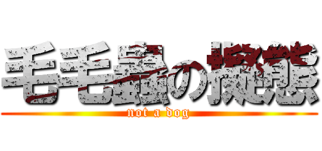 毛毛蟲の擬態 (not a dog)