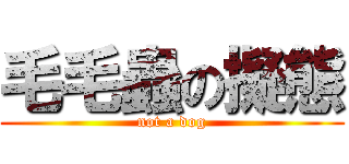 毛毛蟲の擬態 (not a dog)