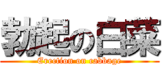 勃起の白菜 (Erection on cabbage)