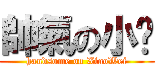 帥氣の小燰 (handsome on XiaoWei)