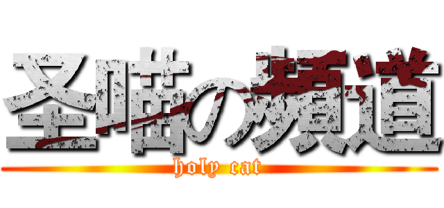 圣喵の頻道 (holy cat)