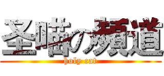圣喵の頻道 (holy cat)