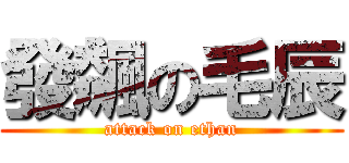 發飆の毛辰 (attack on ethan)