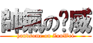 帥氣の圳威 (handsome on ZunWei)