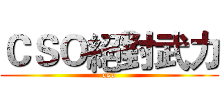 ＣＳＯ絕對武力 (cso)