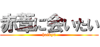 赤葦に会いたい (haikyu)