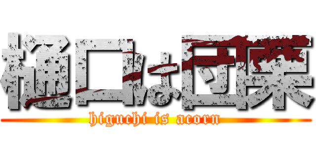 樋口は団栗 (higuchi is acorn)