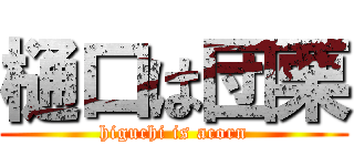 樋口は団栗 (higuchi is acorn)