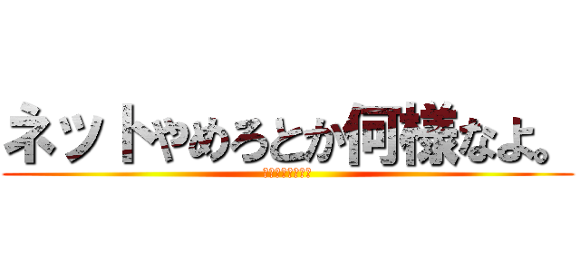 ネットやめろとか何様なよ。 (マジチョウノンナ)