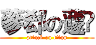 蔘郄の蘧樳 (attack on titan)