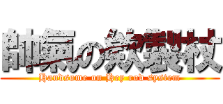 帥氣の欸製杖 (Handsome on Hey rod system)