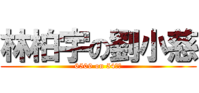 林柏宇の劉小慈 (6509 on 54??)