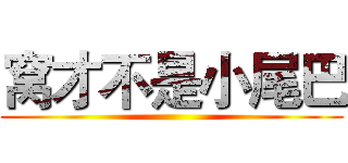窝才不是小尾巴 ()