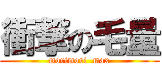 衝撃の毛量 (morimori  max)