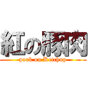 紅の豚肉 (pork on Ketchup)