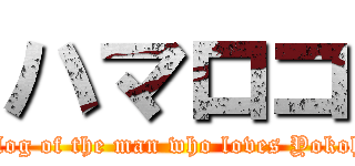 ハマロコ (The blog of the man who loves Yokohama )