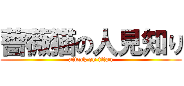 薔薇猫の人見知り (attack on titan)
