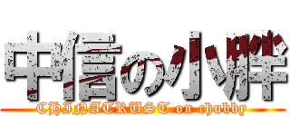 中信の小胖 (CHINATRUST on chubby)