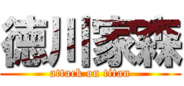 徳川家森 (attack on titan)