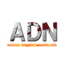 ＡＤＮ (anime digital network)