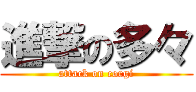 進撃の多々 (attack on corgi)