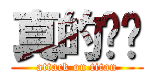 真的爱你 (attack on titan)