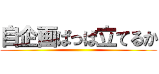 自企画ぱっぱ立てるか ()