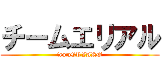 チームエリアル (teamERIARU)