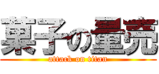 菓子の量売 (attack on titan)