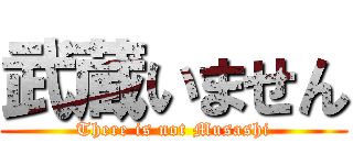 武蔵いません (There is not Musashi)