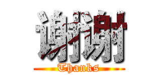 谢谢 (Thanks)