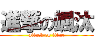 進撃の颯汰 (attack on titan)