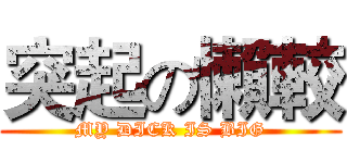 突起の懶較 (MY DICK IS BIG)