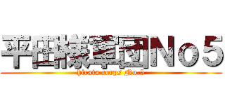 平田様軍団Ｎｏ５ (hirata corps No.5)