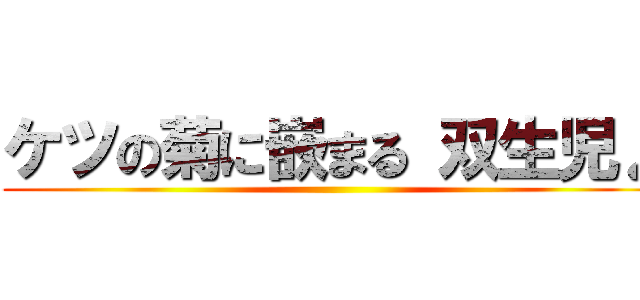 ケツの菊に嵌まる 双生児♪ ()